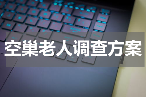 空巢老人调查方案