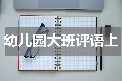 幼儿园大班评语上