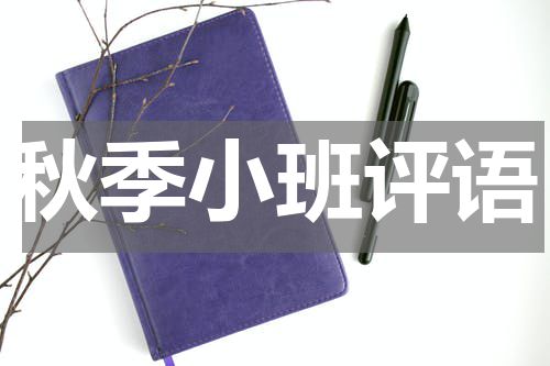 秋季小班评语