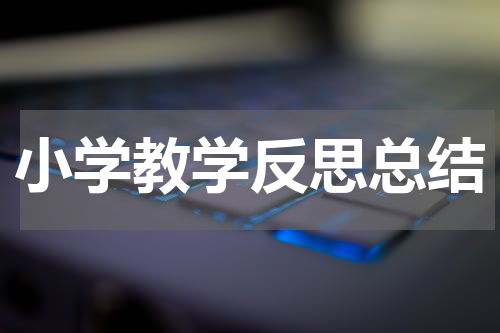 小学教学反思总结