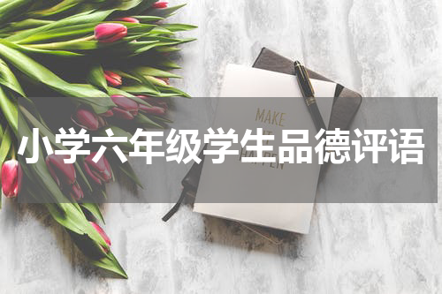 小学六年级学生品德评语