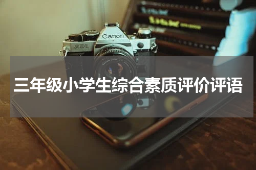 三年级小学生综合素质评价评语