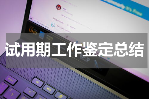 试用期工作鉴定总结