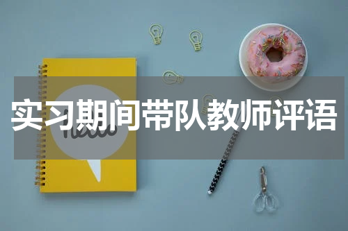 实习期间带队教师评语