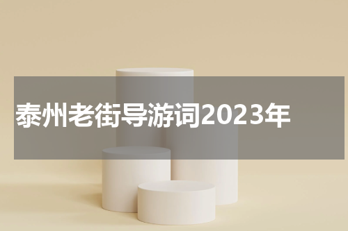 泰州老街导游词2023年