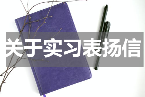 关于实习表扬信