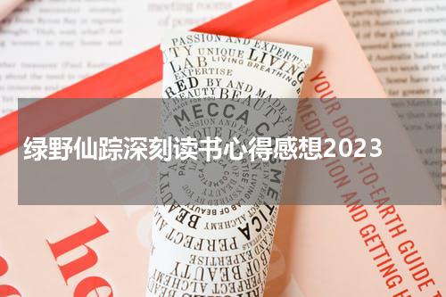 绿野仙踪深刻读书心得感想2023