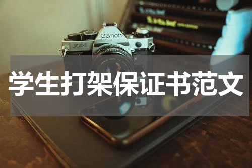 学生打架保证书范文