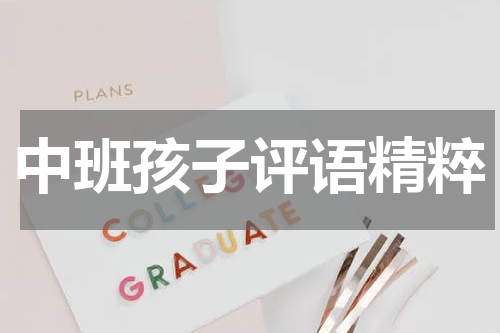 中班孩子评语精粹