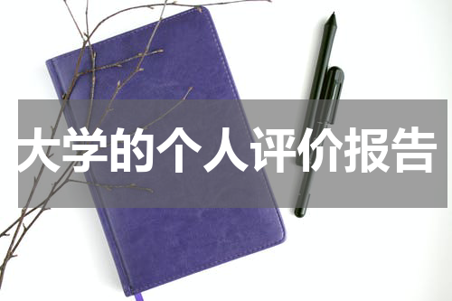 大学的个人评价报告