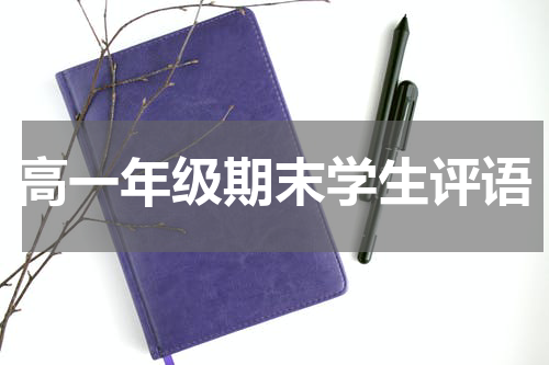 高一年级期末学生评语