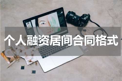 个人融资居间合同格式