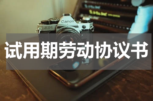 试用期劳动协议书