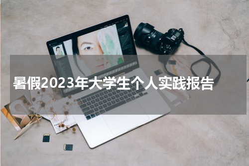 暑假2023年大学生个人实践报告