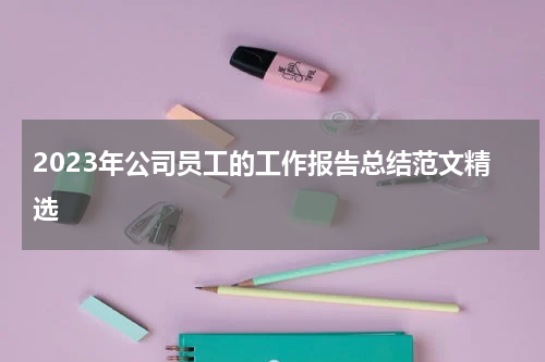 2023年公司员工的工作报告总结范文精选