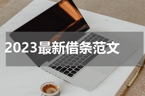 2023最新借条范文