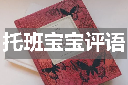 托班宝宝评语