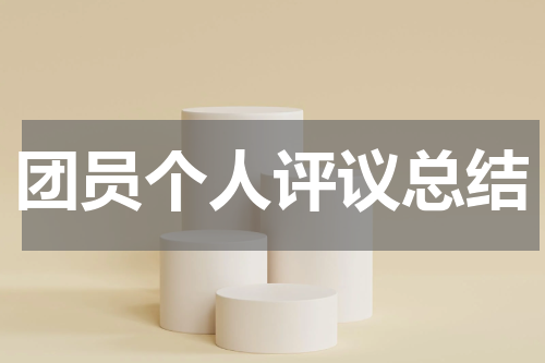 团员个人评议总结