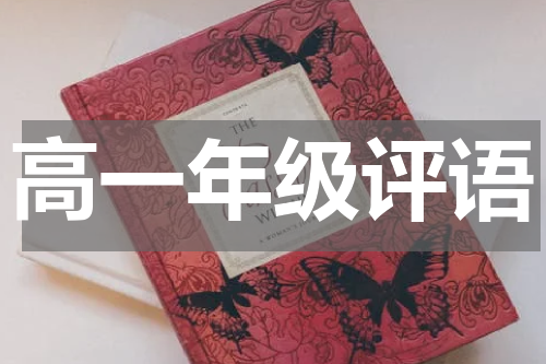 高一年级评语