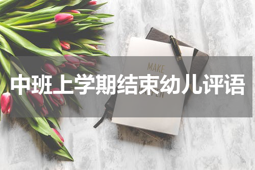 中班上学期结束幼儿评语