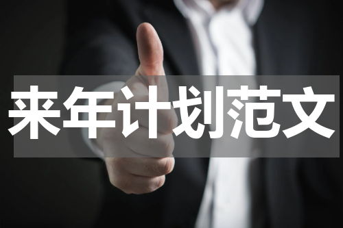 来年计划范文