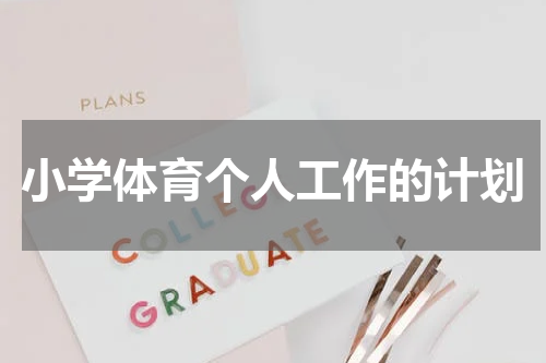 小学体育个人工作的计划