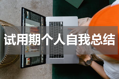 试用期个人自我总结