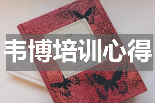 韦博培训心得
