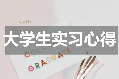 大学生实习心得