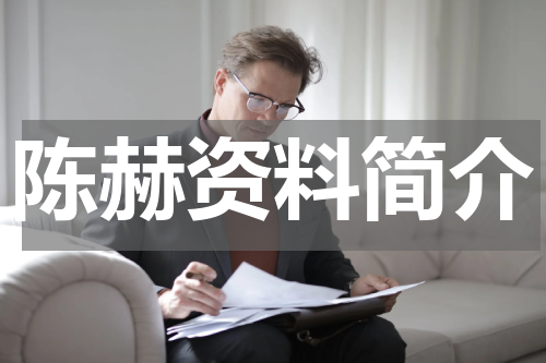 陈赫资料简介