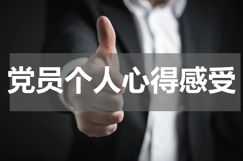 党员个人心得感受