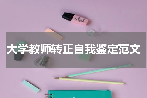 大学教师转正自我鉴定范文