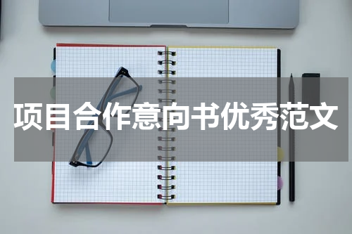 项目合作意向书优秀范文