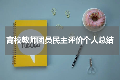 高校教师团员民主评价个人总结