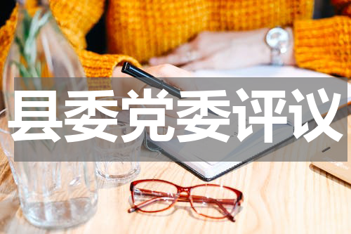 县委党委评议