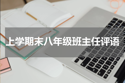 上学期末八年级班主任评语