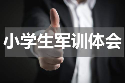 小学生军训体会