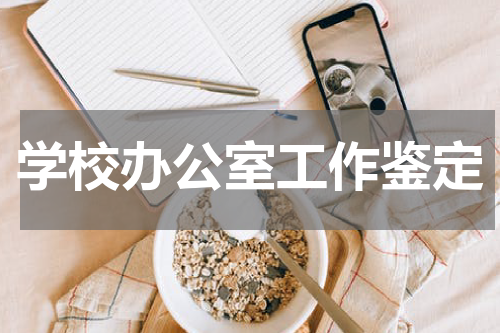 学校办公室工作鉴定