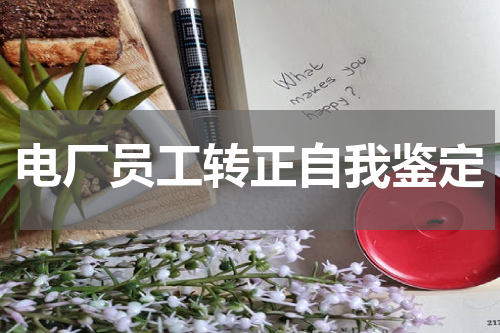 电厂员工转正自我鉴定