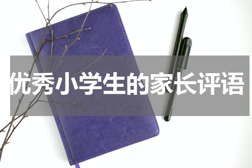 优秀小学生的家长评语