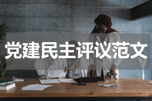 党建民主评议范文