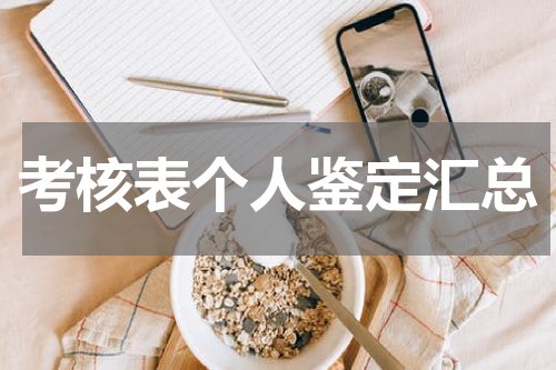 考核表个人鉴定汇总