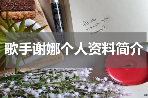 歌手谢娜个人资料简介