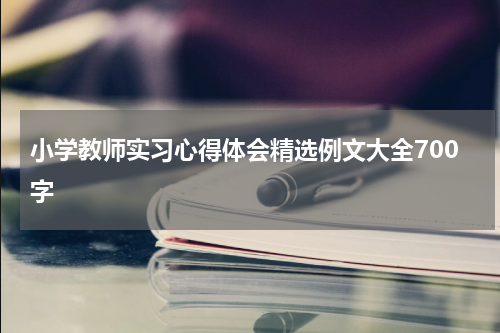 小学教师实习心得体会精选例文大全700字