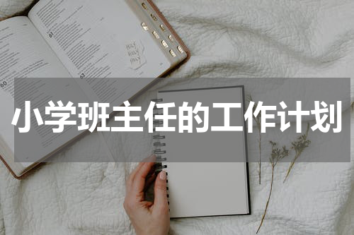 小学班主任的工作计划