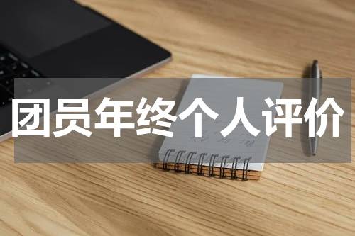 团员年终个人评价