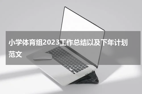 小学体育组2023工作总结以及下年计划范文