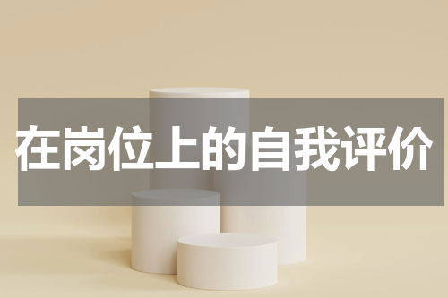 在岗位上的自我评价