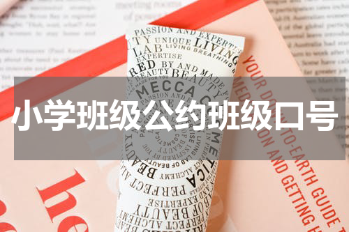 小学班级公约班级口号