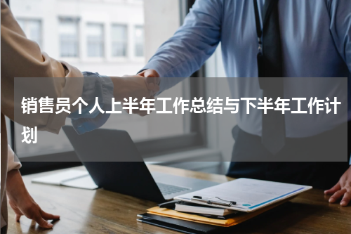 销售员个人上半年工作总结与下半年工作计划